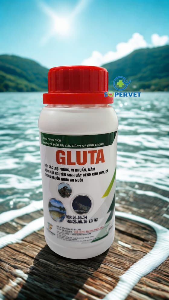 gluta (2)