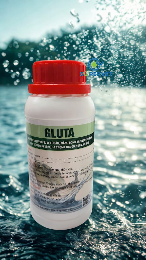 gluta (5)