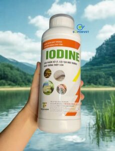 iodine me vi sinh xử lý đáy ao, nước ao hồ