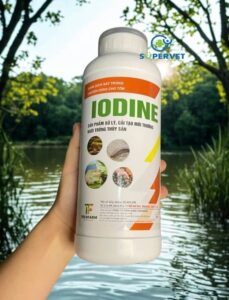 iodine me vi sinh xử lý đáy ao, nước ao hồ