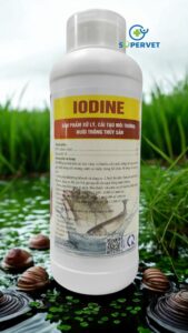 iodine me vi sinh xử lý đáy ao, nước ao hồ