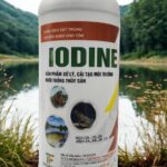 iodine me vi sinh xử lý đáy ao, nước ao hồ chuyên cho tôm
