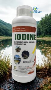iodine me vi sinh xử lý đáy ao, nước ao hồ chuyên cho tôm