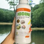 iodine me vi sinh xử lý đáy ao, nước ao hồ