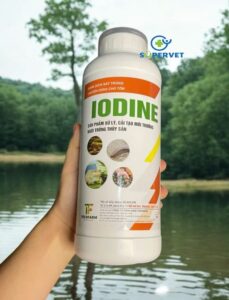 iodine me vi sinh xử lý đáy ao, nước ao hồ