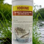 iodine me vi sinh xử lý đáy ao, nước ao hồ