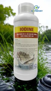 iodine me vi sinh xử lý đáy ao, nước ao hồ