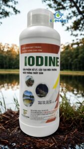 iodine me vi sinh xử lý đáy ao, nước ao hồ chuyên cho tôm