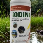 iodine me vi sinh xử lý đáy ao, nước ao hồ chuyên cho tôm