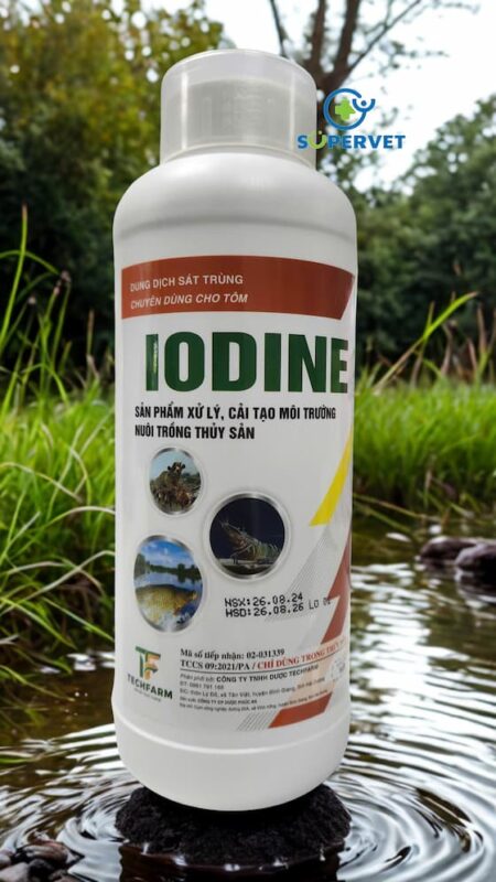 iodine me vi sinh xử lý đáy ao, nước ao hồ chuyên cho tôm