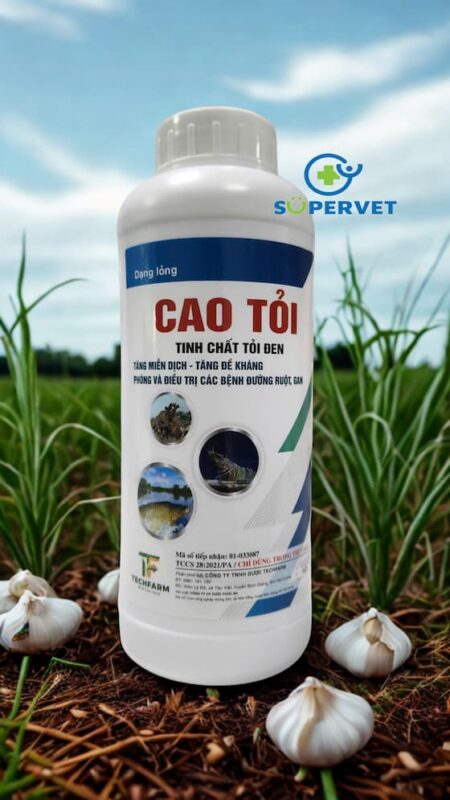 cao toi 4