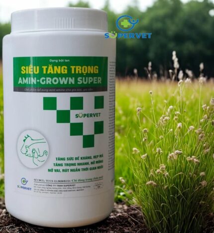 Siêu tăng trọng Amin Grown Super 1kg