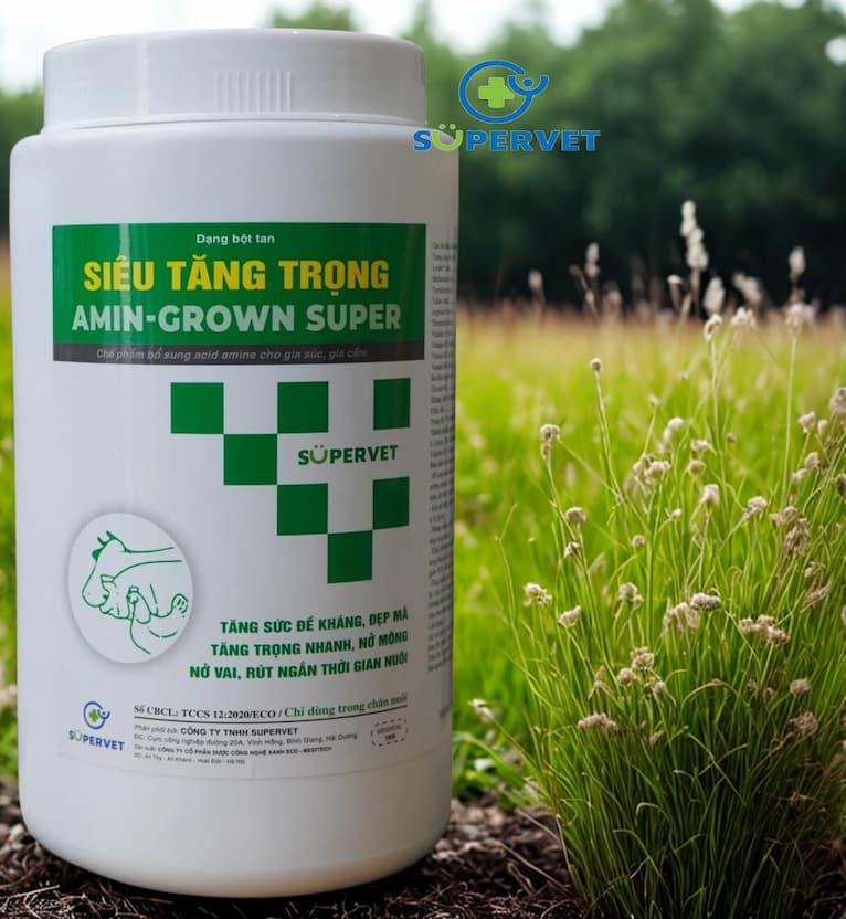 Siêu tăng trọng Amin Grown Super 1kg