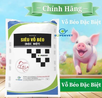 siêu vỗ béo đặc biệt