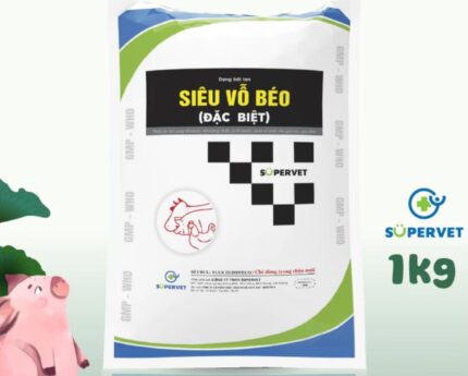 Siêu vỗ béo đặc biệt chính hãng