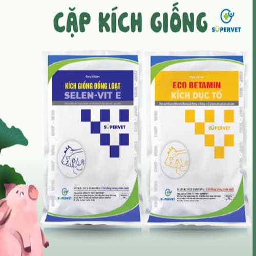 Cặp kích giống heo Eco betamin và Selen Vit E