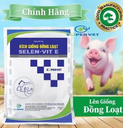 Kích giống đồng loạt Selen Vit E