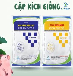 Cặp kích giống heo Eco betamin và Selen Vit E