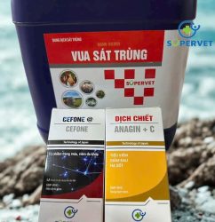 Combo vua sát trùng, cefone và dịch chiết anagin