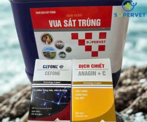 Combo vua sát trùng, cefone và dịch chiết anagin