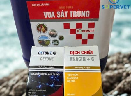 Combo vua sát trùng, cefone và dịch chiết anagin