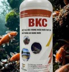 diet tao ao nuoi bkc 50 (4)