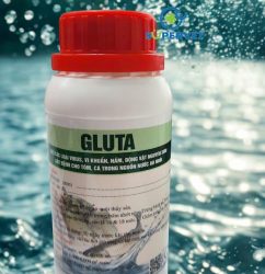 gluta (5)