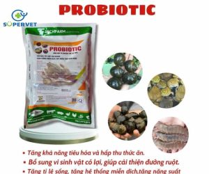 men tiêu hóa Probiotic cho tôm, ốc, cá, cua