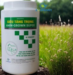 Siêu tăng trọng Amin Grown Super 1kg