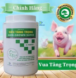 Siêu tăng trọng Amin Grown Super 1kg