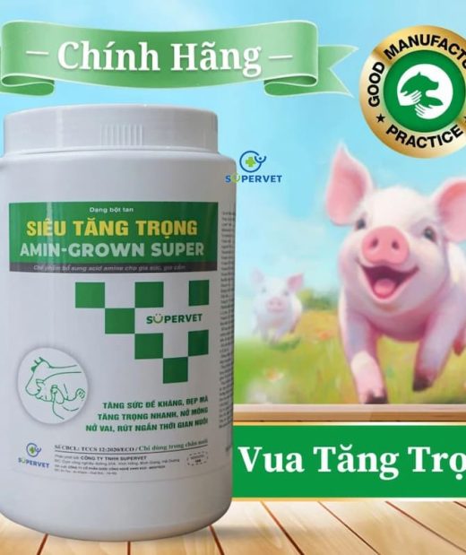 Siêu tăng trọng Amin Grown Super 1kg