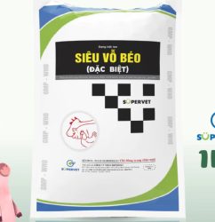 Siêu vỗ béo đặc biệt chính hãng