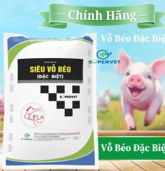 siêu vỗ béo đặc biệt